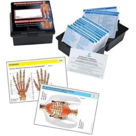Die menschliche Muskulatur: Anatomie-Lernkarten Anatomie, Funktion und Innervation