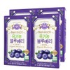 hallberry Wholeberry Organic Blueberry Puree 100% Wholeberry Blueberry 14 packs,