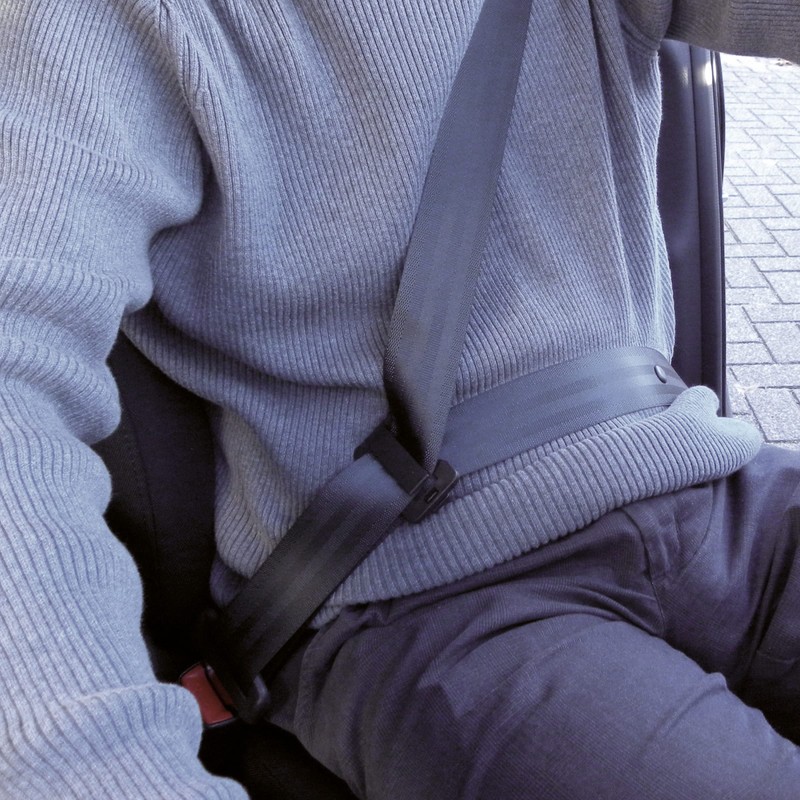 1423210 Car Seat Belt Adjusters