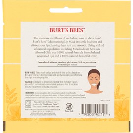 Burt's Bees Moisturizing Lip Mask for Women, 0.02 Ounce