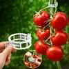 120-Pack Durable Plant Clips for Climbing Plants & Vegetables