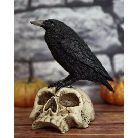 Ebros Gothic Raven Perching On Skull Statue 7.25" High Crow Scavenger Figurine
