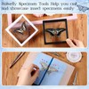DoubleFill Insect Specimen Tools Kit Butterfly Specimen for Classroom Teaching