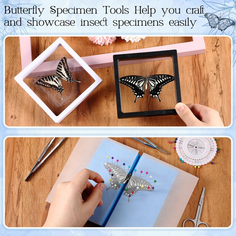 DoubleFill Insect Specimen Tools Kit Butterfly Specimen for Classroom Teaching