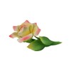 Capodimonte 6 Inch Italian Handmade Ceramic Yellow and Pink Rose
