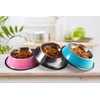 Podinor Stainless Steel Dog Bowls, Food and Water Non Slip