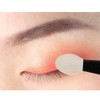 100 Pcs Small Eyeshadow Applicators Eye Shadow Sponge Applicator Sticks