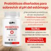 Probiticos Avanzados de Triple Accin (Probiticos Prebiticos Enzimas Digestivas) 60