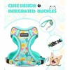 Halypet Cat Harness and Leash Set[MAX Safety 4th-Gen] Cute Escape