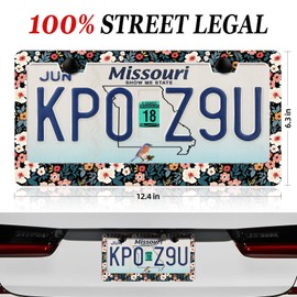 XCLPF Flower License Plate Frames, Colorful Aluminum License Plate Holder Car Accessory Decoration with Screws License Plate Covers Unisex 12x6 inch