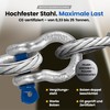 Curved Shackle with Eye Bolts - 1t Load Capacity -