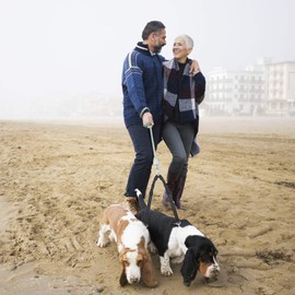 AUTOWT Double Dog Leash, No Tangle 360° Swivel Rotation Reflective Double Lead Adjustable Length Dual Two Dog Lead Splitter, Comfortable Shock Absorbing Walking Training for Two Dogs (Black)