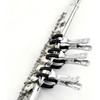 Jiayouy 20PCS Flute Tool Kit, Professional Flute Repairing Maintenance Tool