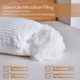 Acanva Bed Pillows for Sleeping,Premium Fluffy and Soft 3D Fiber Filled, Perfect for Back, Stomach & Side Sleepers, Queen (Pack of 2), White 2 Count