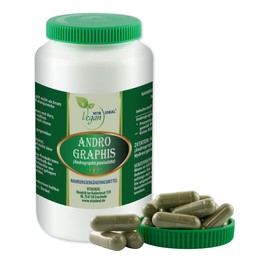VITA IDEAL Vegan® Andrographis Herb 120 Capsules – Chiretta Herb – Daily Serving 800 mg CHIRETTAKRAUT Pure Powder Natural, Vegetable and No Additives