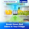 ZARPAX Refrigerator Deodorizer - Single Pack - Fridge Smell Eliminator