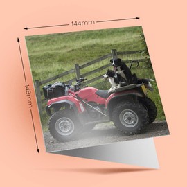 1 x Greeting Card Border Collie Sheepdog Quad Farm Bike - Blank Birthday Celebration Anniversary #24179
