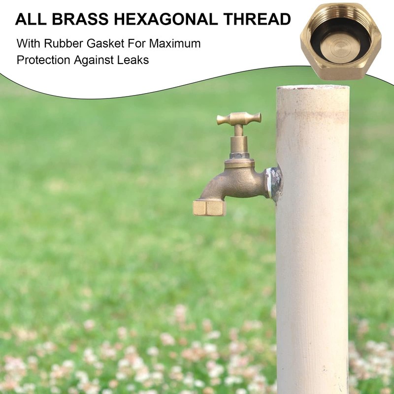 Brass Cap, Pack of 12 Drain Preventer Blanking Plugs, 3/4