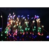 Dreamworth 40 Ft 240 LED's Copper Wire Lights,Remote Battery Operated