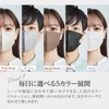 MASK LABO Fuji Layered Style Mask, 3D Mask, Regular Size