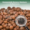 T4U Leca Clay Pebbles for Plants, 1.5qt 10-20 mm Clay
