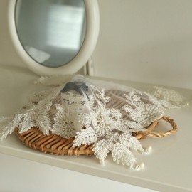 Gratify Lace Doilies with Handmade Beaded Embroidery Lace Table Placemats Table Topper Scarf for home, table, Flower Pot Decoration (40 x 40cm, Beige)