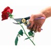 Hana pruning shears for women gold