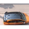 MUTUSAISI Universal Rear Window Roof Spoiler Drilling Installation Wing Compatible