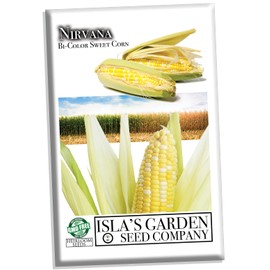 Nirvana Super Sweet Bi-Color Corn Seeds for Planting, 25+ Heirloom Seeds Per Packet, (Isla's Garden Seeds), Non GMO Seeds, Botanical/Scientific Name: Zea mays, Great Home Garden Gift