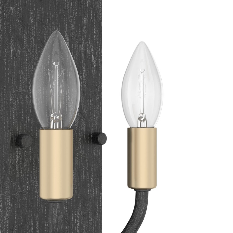 Hunter Fan Company 19801 Merlin Wall Sconce, Rustic Iron