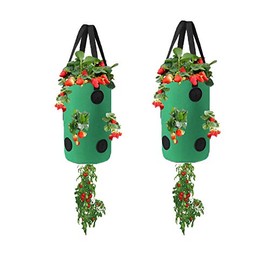 Miewslan 2 Pack Gardens Upside Down Planter, Hanging Tomato Strawberry Grow Planter Tomato Garden Vegetable Planting Pot