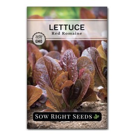 Sow Right Seeds - Red Romaine Lettuce Seeds for Planting - Non-GMO Heirloom Packet with Instructions to Plant a Home Vegetable Garden - Outdoors or Hydroponics Indoors - Crispy Tasty Leaf (1)