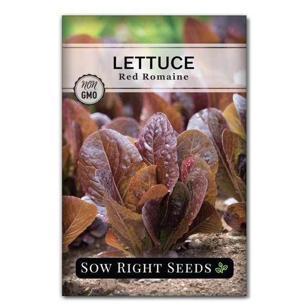 Sow Right Seeds - Red Romaine Lettuce Seeds for Planting