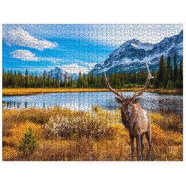 YINGJIEKISSU Rocky Mountain National Park - Moose in The Rocky Sunrise - 1000 Piece Jigsaw Puzzle for Adult