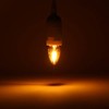 KINUR Night Light Bulbs, C7 LED Bulbs E12 Candelabra Base