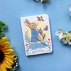 Peter Rabbit 2025 Mini Weekly View Diary