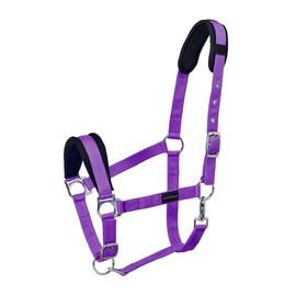 Cottage Craft Horse Headcollar - Padded Head Collar for Horses - Purple - PONY