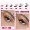 Cat Eye Lash Extensions Kit Natural Lashes Clusters Cat Eyelash