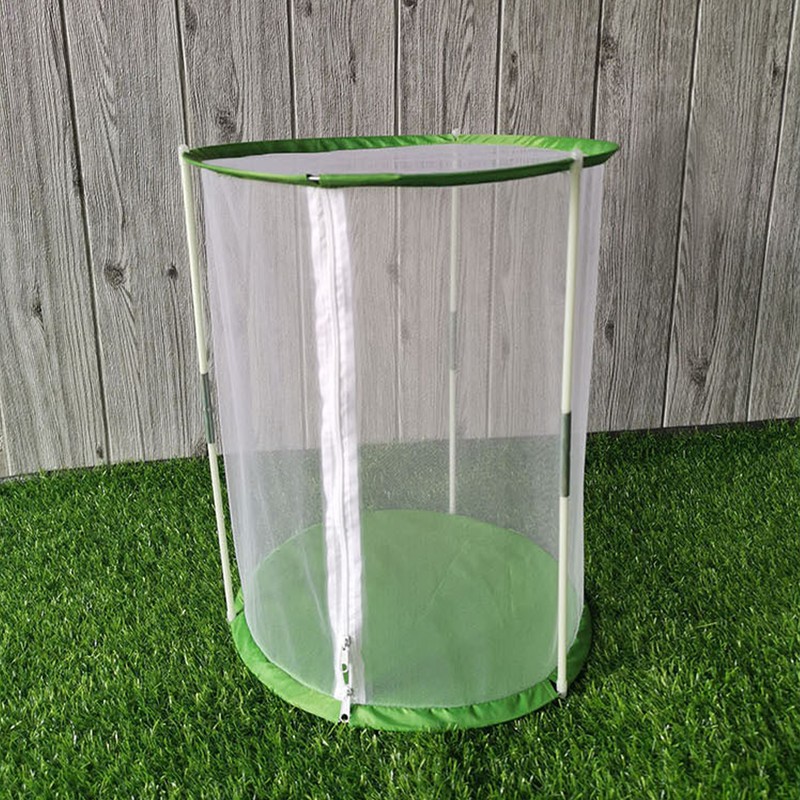 Cylindrical Butterfly and Insect Observation Cage Transparent Mesh Habitat Cage
