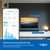 TP-Link Tapo Smart Plug P210M, Wi-Fi in-Wall Outlet, Matter Compatible,