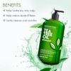 Majestic Pure Tea Tree Oil Hair Shampoo - 16flOz