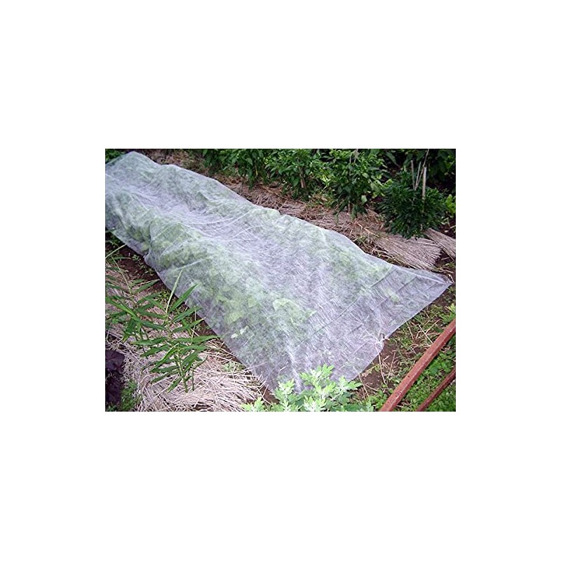 Light and Non-Woven Fabric X 10 m