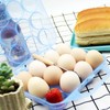 JAMOR 12 Grid Egg Storage Box Portable Egg Box, Egg