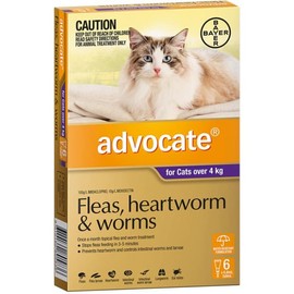 Advocate Buy Advocate For Large Cats Over 4kg 6 Pack Online | Chempro Chemists