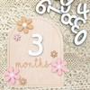 Gleemix Baby Monthly Milestone Cards, Flower Style Milestone Cards, Baby