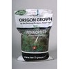 Penncross Creeping Bentgrass - 10 Pounds