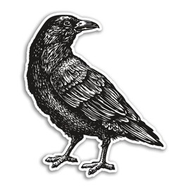 2 x 10cm Tall Crow Vinyl Stickers - Sketch Illustration Black Crows Raven Birds Sticker #77425