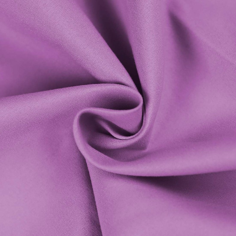 BASIC CHOICE Hypoallergenic Brushed Microfiber Bed Sheet Set, Purple, Twin,