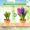 XSEINO 5LB Water Storing Crystals for Plants, Water Gel Solves