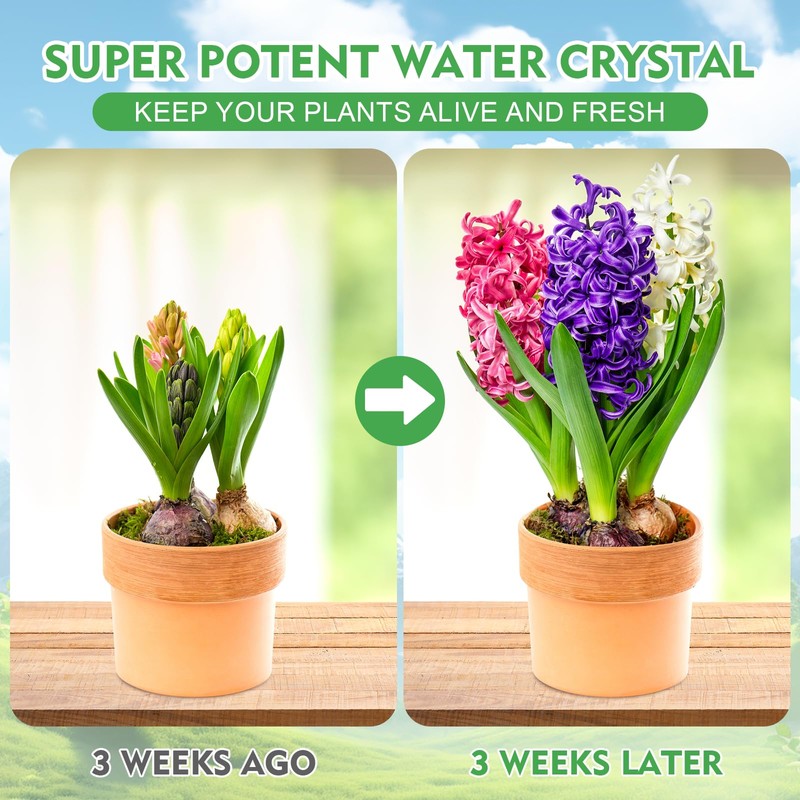 XSEINO 5LB Water Storing Crystals for Plants, Water Gel Solves